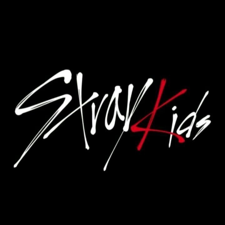 LOGO straykids