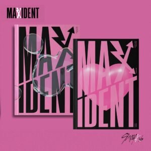 STRAY KIDS - MAXIDENT