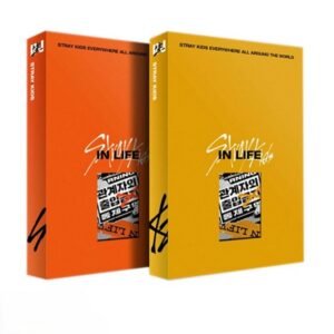STRAY KIDS - IN生 (IN LIFE)